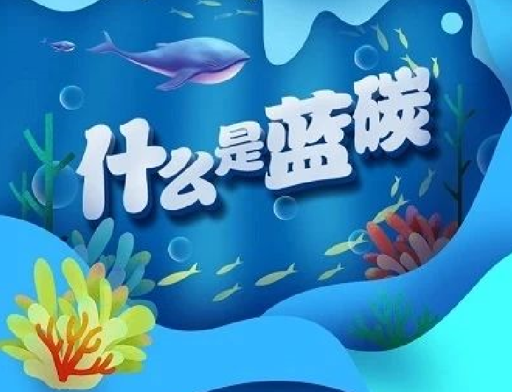 圖解｜你知道“藍碳”是什么嗎？